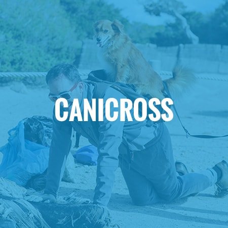 Canicross - Nationale Nederlanden Plogging Tour